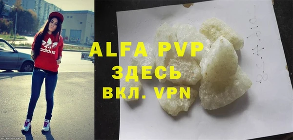 ГАЛЛЮЦИНОГЕННЫЕ ГРИБЫ Верея