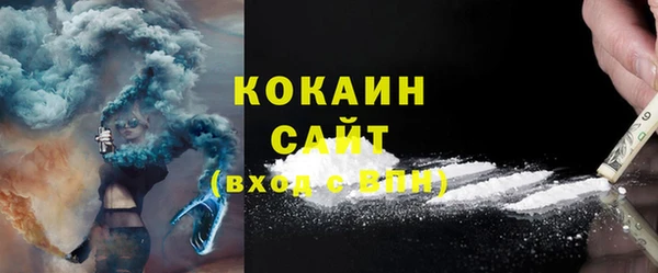 ГАЛЛЮЦИНОГЕННЫЕ ГРИБЫ Верея