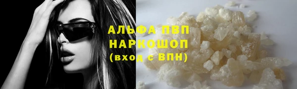 стаф Волоколамск