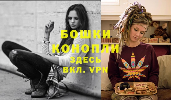 тгк Бронницы