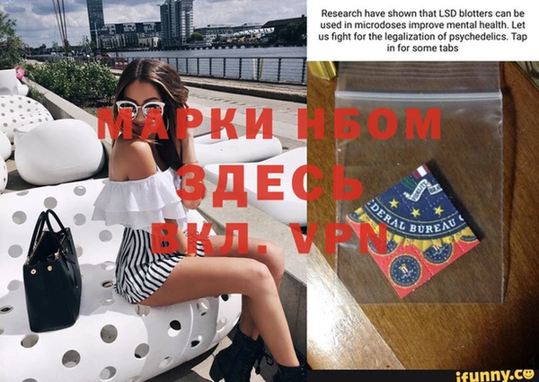 ГАЛЛЮЦИНОГЕННЫЕ ГРИБЫ Верея