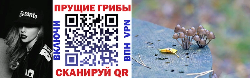 Галлюциногенные грибы Magic Shrooms  Купить закладки  Теберда 